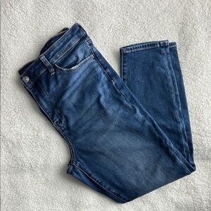 American Eagle Outfitters Ladies Dark Blue Jeggings, size 16 short